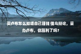 买卢布怎么知道自己赚钱 俄乌辩论，采办卢布，你赢利了吗？