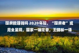 囤房能赚钱吗 2020年起，“囤房者”或周全呈现，国家一锤定音，王健林一语道破