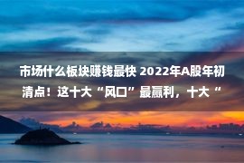 市场什么板块赚钱最快 2022年A股年初清点！这十大“风口”最赢利，十大“水逆”板块亏惨了｜极刻