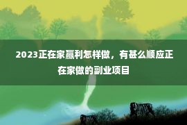  2023正在家赢利怎样做，有甚么顺应正在家做的副业项目