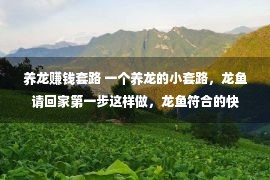 养龙赚钱套路 一个养龙的小套路，龙鱼请回家第一步这样做，龙鱼符合的快