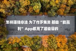 怎样赚钱非法 为了作歹集资 那些“能赢利”App都用了哪些目的