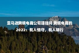 亚马逊跨境电商公司赚钱吗 跨境电商的2022：有人恪守，有人转行