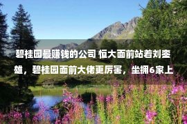 碧桂园最赚钱的公司 恒大面前站着刘銮雄，碧桂园面前大佬更厉害，坐拥6家上市公司