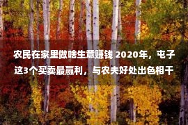 农民在家里做啥生意赚钱 2020年，屯子这3个买卖最赢利，与农夫好处出色相干，你也能做