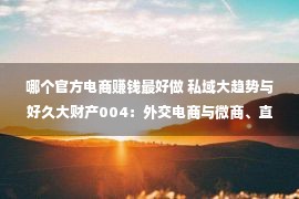 哪个官方电商赚钱最好做 私域大趋势与好久大财产004：外交电商与微商、直销的区分与关连