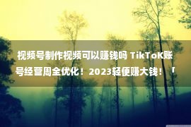 视频号制作视频可以赚钱吗 TikToK账号经营周全优化！2023轻便赚大钱！「Hubstudio欣赏器」