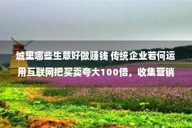 城里哪些生意好做赚钱 传统企业若何运用互联网把买卖夸大100倍，收集营销扩张怎样做