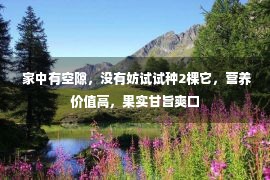  家中有空隙，没有妨试试种2棵它，营养价值高，果实甘旨爽口