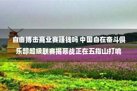 自由搏击商业赛赚钱吗 中国自在奋斗俱乐部超级联赛揭幕战正在五指山打响