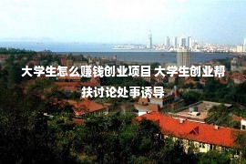 大学生怎么赚钱创业项目 大学生创业帮扶讨论处事诱导