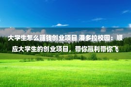 大学生怎么赚钱创业项目 潘多拉校园：顺应大学生的创业项目，带你赢利带你飞