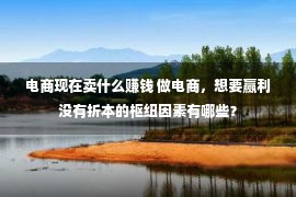 电商现在卖什么赚钱 做电商，想要赢利没有折本的枢纽因素有哪些？