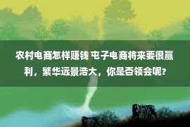 农村电商怎样赚钱 屯子电商将来要很赢利，繁华远景浩大，你是否领会呢？