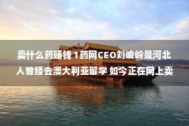 卖什么药赚钱 1药网CEO刘峻岭是河北人曾经去澳大利亚留学 如今正在网上卖药挺赢利