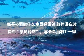 新开公司做什么生意好赚钱 取件没有收费的“菜鸟驿站”，靠甚么赢利？一家店能赚几许钱？