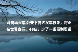 赚钱再买车 公安下属达买车铁令，将正在世界奉行，4S店：少了一条赢利渠道