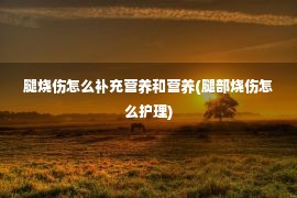 腿烧伤怎么补充营养和营养(腿部烧伤怎么护理)