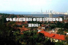 学电商还能赚钱吗 春节假日还能做电商赢利吗？