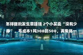 怎样做批发生意赚钱 2个小买卖“没有少挣”，毛成本1吨300到500，两集体一天灵动2到3吨