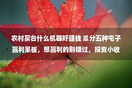 农村买台什么机器好赚钱 瓜分五种屯子赢利呆板，想赢利的别错过，投资小收益高