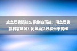 咸鱼卖货赚钱么 魏副业而战：闲鱼卖货赢利靠谱吗？闲鱼卖货过程当中揭秘