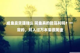 咸鱼卖货赚钱么 闲鱼真的能赢利吗？一定的，月入过万本来很简捷