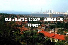 咸鱼卖货赚钱么 2022年，正在闲鱼上怎样挣钱？