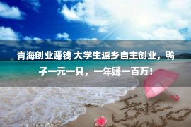 青海创业赚钱 大学生返乡自主创业，鸭子一元一只，一年赚一百万！