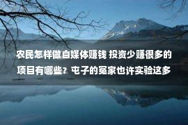 农民怎样做自媒体赚钱 投资少赚很多的项目有哪些？屯子的冤家也许实验这多少个项目