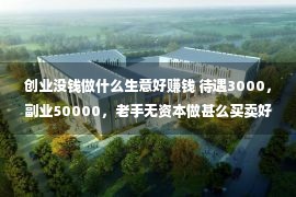 创业没钱做什么生意好赚钱 待遇3000，副业50000，老手无资本做甚么买卖好？