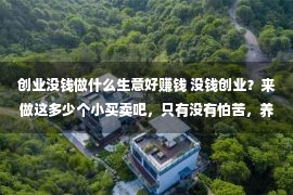 创业没钱做什么生意好赚钱 没钱创业？来做这多少个小买卖吧，只有没有怕苦，养家生计很轻易