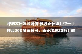 种地大户怎么赚钱 歉收正在望！他一手种起200多亩稻田，年支出超20万！耕田，这么“赚”→