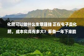 化肥可以做什么生意赚钱 正在屯子卖化肥，成本究竟有多大？筹备一年下来能赚几许钱？