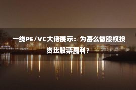  一线PE/VC大佬展示：为甚么做股权投资比股票赢利？