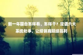  新一年国台怎样看、怎样干？定调六大系统处事，让经销商延续赢利