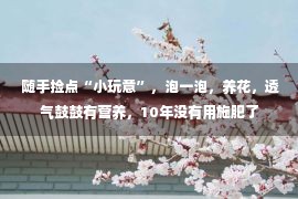  随手捡点“小玩意”，泡一泡，养花，透气鼓鼓有营养，10年没有用施肥了