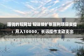 赚钱的短网址 短链接扩张赢利项目实操：月入10000，长远操作主动支出