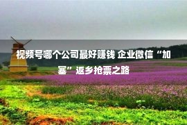 视频号哪个公司最好赚钱 企业微信“加塞”返乡抢票之路