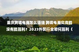 重庆跨境电商怎么赚钱 跨境电商究竟能没有能赢利？2023外贸行业若何赢利（中不雅篇）