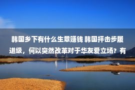 韩国乡下有什么生意赚钱 韩国抨击步履进级，何以突然改革对于华友爱立场？有四点缘由