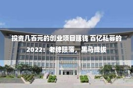 投资几百元的创业项目赚钱 百亿私募的2022：老牌陨落，黑马提拔