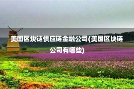 美国区块链供应链金融公司(美国区块链公司有哪些)