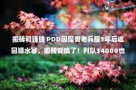 搬砖和赚钱 PDD因魔兽老兵服3年后返回顺水寒，搬砖党疯了！列队34000也要进