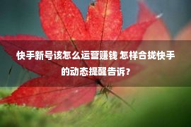 快手新号该怎么运营赚钱 怎样合拢快手的动态提醒告诉？