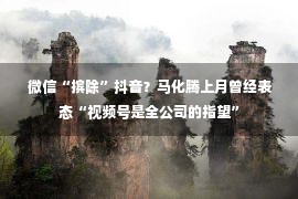  微信“摈除”抖音？马化腾上月曾经表态“视频号是全公司的指望”