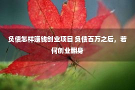 负债怎样赚钱创业项目 负债百万之后，若何创业翻身