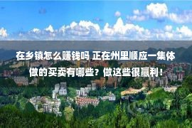 在乡镇怎么赚钱吗 正在州里顺应一集体做的买卖有哪些？做这些很赢利！