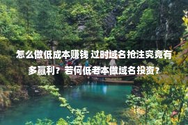 怎么做低成本赚钱 过时域名抢注究竟有多赢利？若何低老本做域名投资？