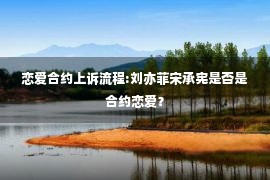 恋爱合约上诉流程:刘亦菲宋承宪是否是合约恋爱？